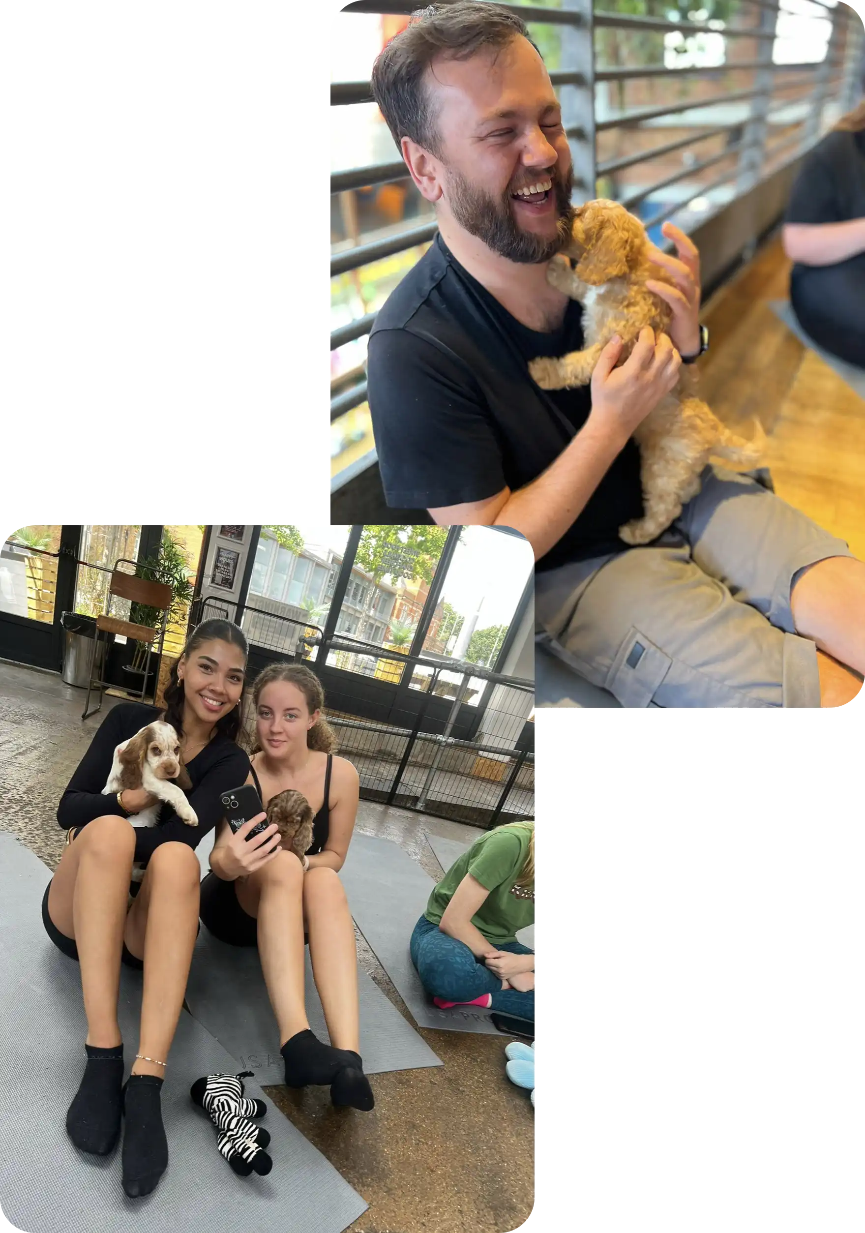 Puppy Lover Socials Events